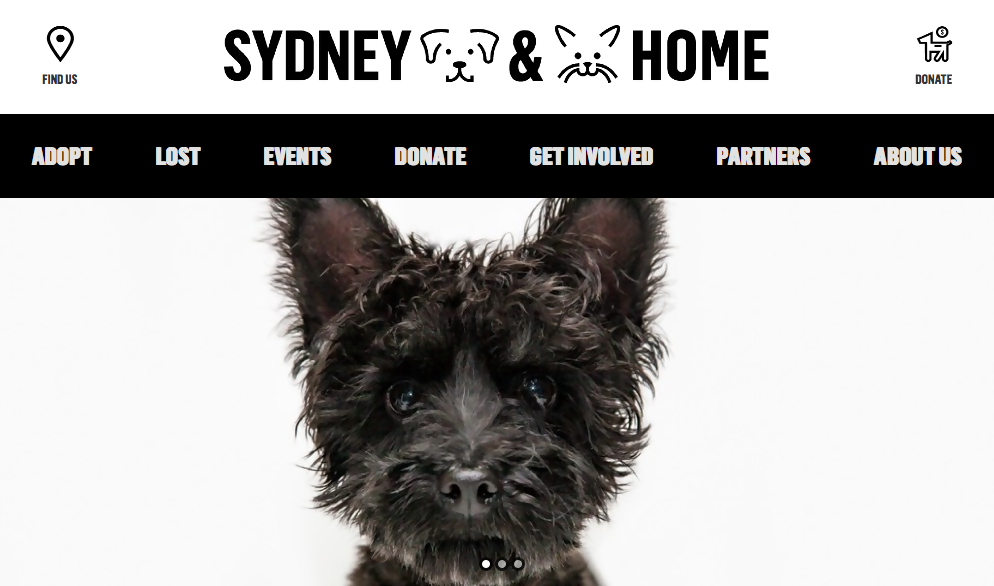 Sydney Dogs and Cats Home